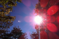 iPhone: reflectie van de zon